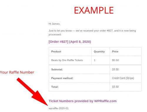 Raffle Ticket Number Example